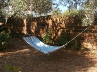 hangmat onder de olijfbomen